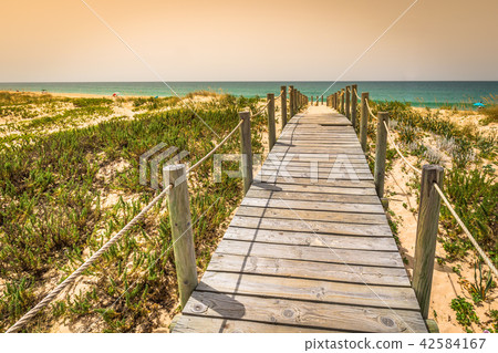 Beach of Faro, Algarve, Portugal 42584167