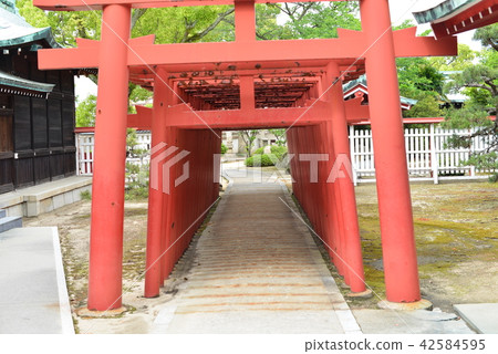 今治城堡Fukiage神社Torii 今治城堡Fukiage神社Torii 42584595