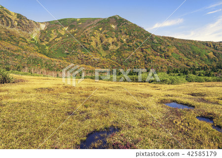 Hakuba-dake秋葉 42585179