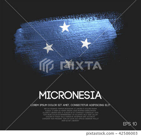 Federated States of Micronesia Flag Made of Brush 42586003