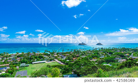 來自夏威夷瓦胡島藥盒小徑的風景 42586169