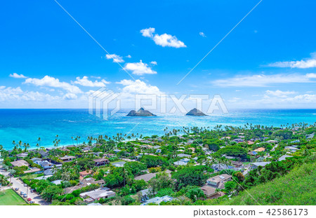 Scenery from Hawaii Oahu Pill Box Trail 42586173