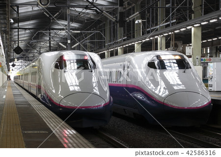 Joetsu Shinkansen E 2 system stopped at Niigata station 42586316