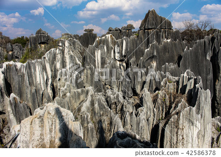 China · stone forest 42586378