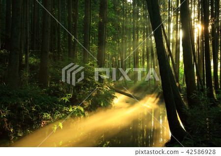 Ushidogawa River in summer Ushidogawa River in summer 42586928