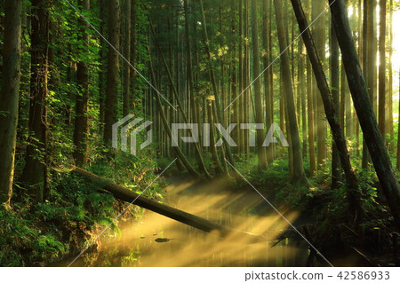 Ushidogawa River in summer Ushidogawa River in summer 42586933