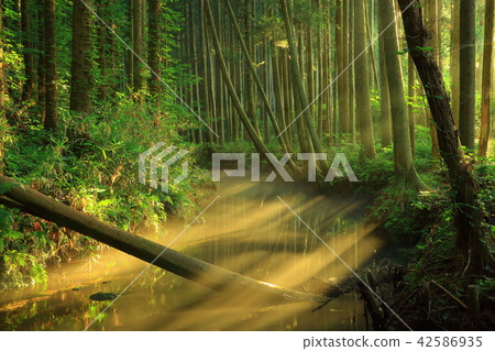 Ushidogawa River in summer Ushidogawa River in summer 42586935