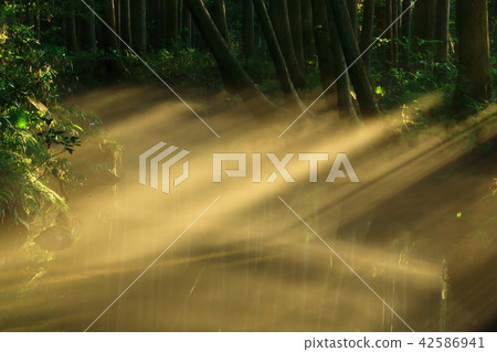 Ushidogawa River in summer Ushidogawa River in summer 42586941