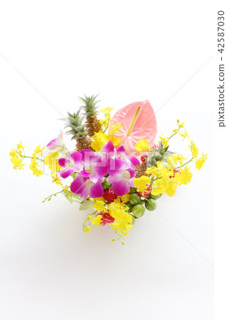 Arrangement of minipain, anthurium, denfare, onshidium and okinawa sparrow (whole length) Arrangement of minipain, anthurium, denfare, onshidium and okinawa sparrow (whole length) 42587030