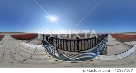 Saga Prefecture Saga City - Higashigonka Coast Shikizensou Group Fabric - Saga Prefecture Saga City - Higashigonka Coast Shikizensou Group Fabric - 42587107