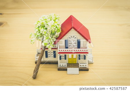 Fallen Tree Home Insurance Concept Vintage 42587587