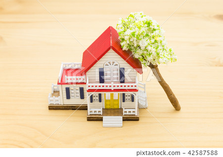 Fallen Tree on Right Home Insurance Concept Fallen Tree on Right Home Insurance Concept 42587588