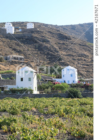 Greece, wineries and windmill at Santorini 42587671