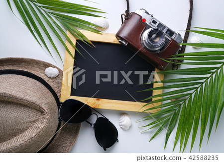 Sunglasses, Fedora Hat, Palm Leaf, Camera, 42588235