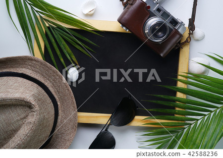 Sunglasses, Fedora Hat, Palm Leaf, Camera 42588236