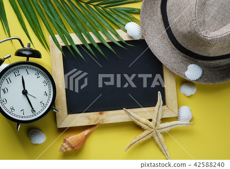 Blackboard, Starfish, Fedora Hat, Palm Leaf Blackboard, Starfish, Fedora Hat, Palm Leaf 42588240