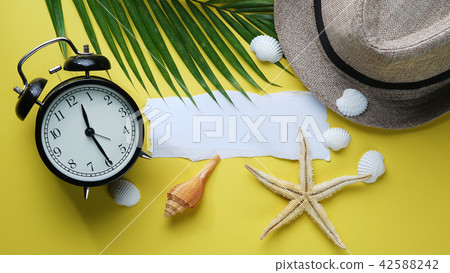 Blank Ripped Paper Room for Text Flat Lay Summer 42588242