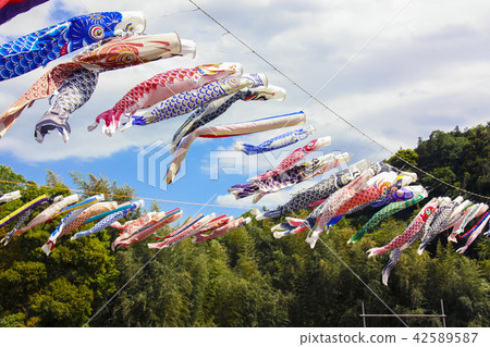 鯉魚飄帶在五月的天空中游泳 鯉魚飄帶在五月的天空中游泳 42589587