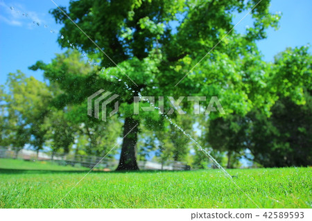 生命之水 42589593