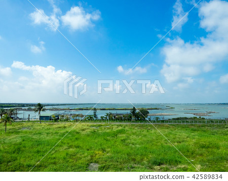 wetlands in Taiwan wetlands in Taiwan 42589834