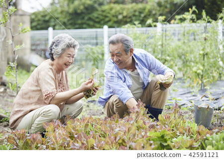 Life, old couple, Korean 42591121