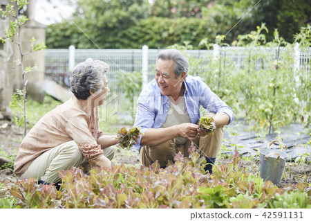 Life, old couple, Korean Life, old couple, Korean 42591131