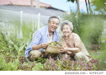 生活，老夫妻，韓國人 42591147