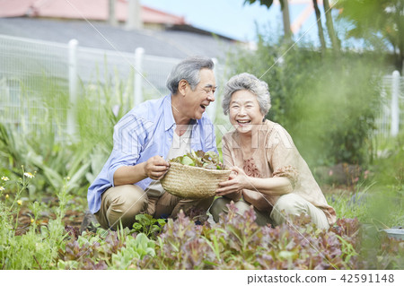Life, old couple, Korean 42591148