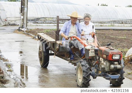 Life, old couple, Korean 42591156
