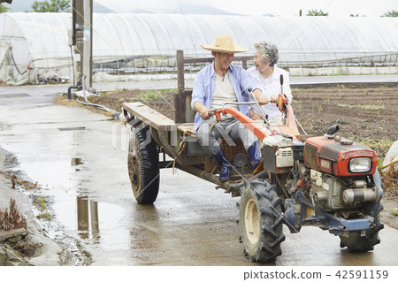 生活,老夫妻,韓國人 生活,老夫妻,韓國人 42591159