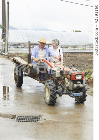生活，老夫妻，韓國人 42591160