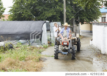 生活，老夫妻，韓國人 42591163