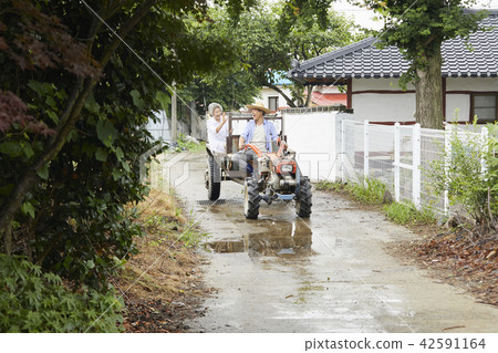 生活，老夫妻，韓國人 42591164
