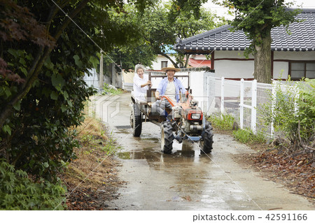 生活，老夫妻，韓國人 42591166