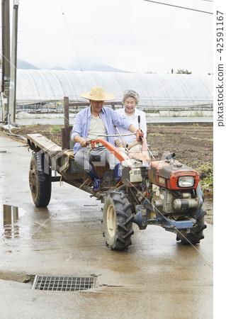 生活，老夫妻，韓國人 42591167