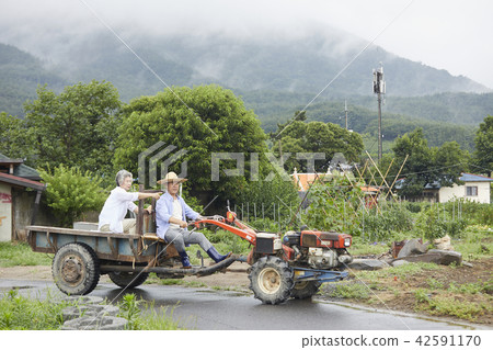 生活,老夫妻,韓國人 生活,老夫妻,韓國人 42591170