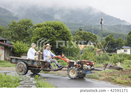 生活，老夫妻，韓國人 42591171