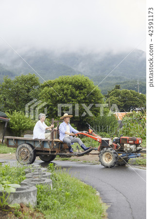 Life, old couple, Korean 42591173