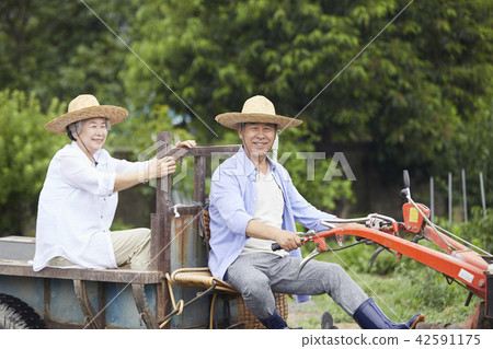 生活，老夫妻，韓國人 42591175