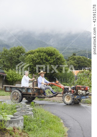生活，老夫妻，韓國人 42591178
