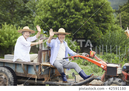 Life, old couple, Korean 42591180