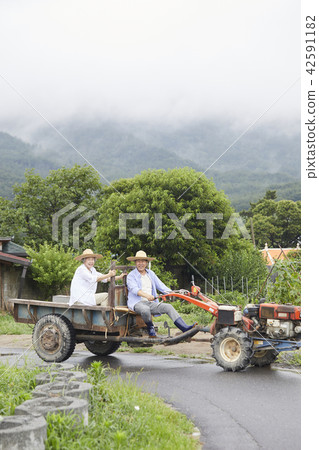 生活，老夫妻，韓國人 42591182
