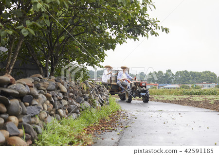 生活，老夫妻，韓國人 42591185