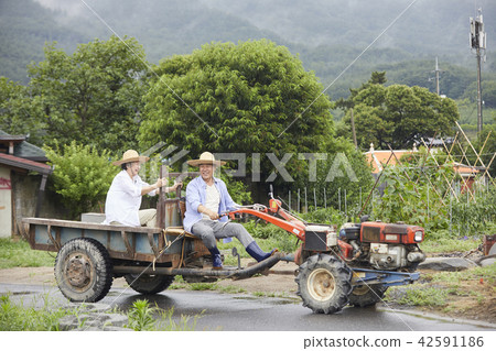 Life, old couple, Korean 42591186