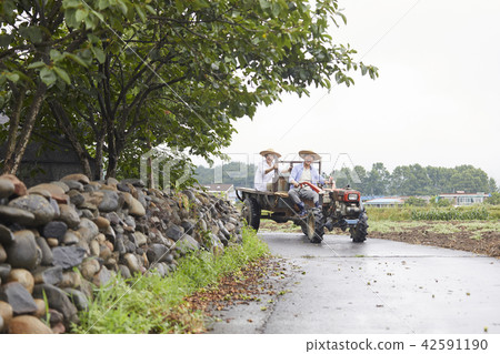 生活，老夫妻，韓國人 42591190