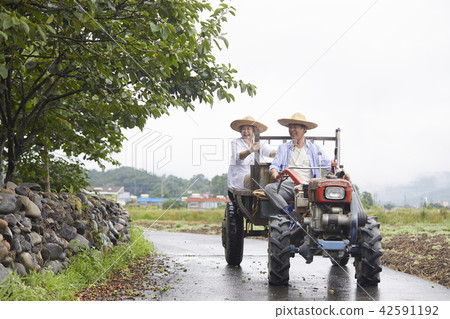 生活，老夫妻，韓國人 42591192