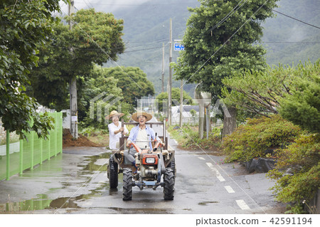 生活，老夫妻，韓國人 42591194