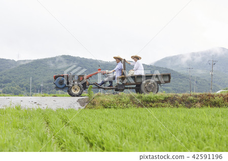 生活，老夫妻，韓國人 42591196