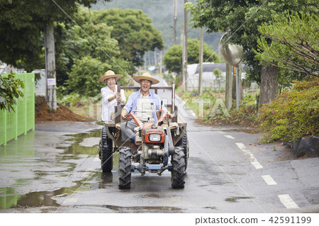 生活，老夫妻，韓國人 42591199