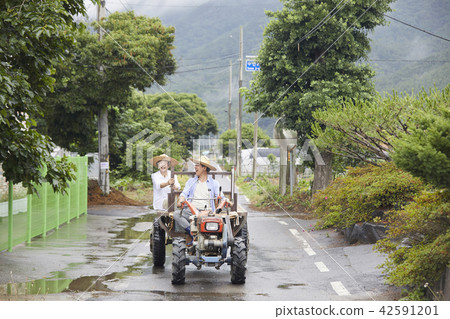 Life, old couple, Korean 42591201